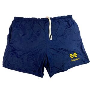 Vintage 90s Michigan Wolverines Nylon Mesh Shorts | Mens Small | TSI